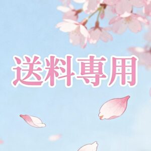 送料専用