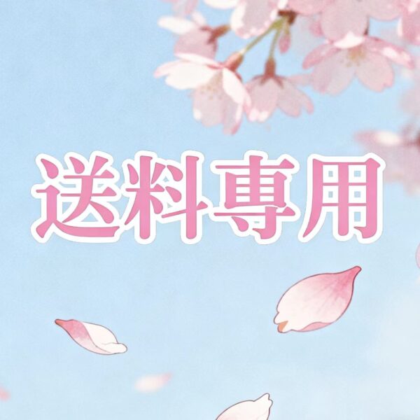 送料専用